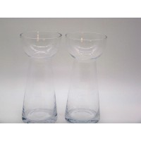 image-vases-vintage-jacinthes-forcage-bulbes-3