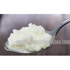 Pressure Cooker Rice Pudding